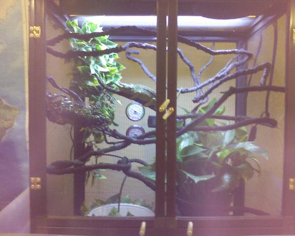 cage2.jpg