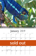 chameleon_calendar19out.jpg