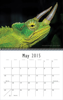 calendar15_may.jpg