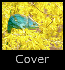 0cover.jpg