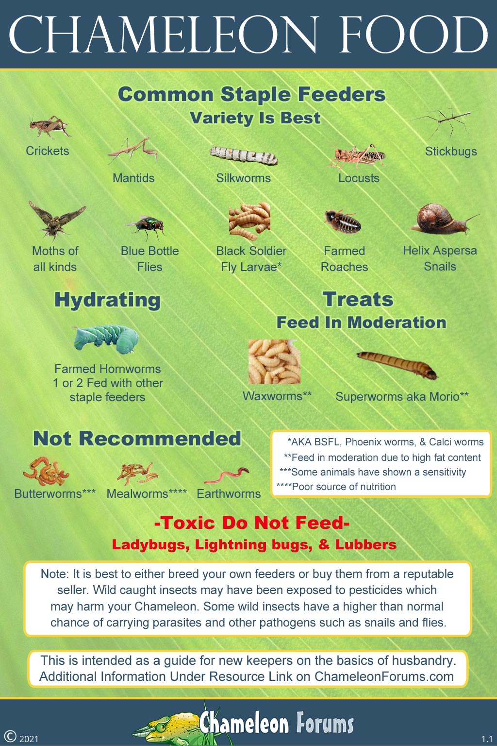 Chameleon Diet Guide