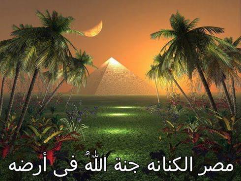 شركة تنظيف فلل بجدة, شركة تنظيف بجدة ,شركة تنظيف خزانات بجدة, شركة مكافحة حشرات بجدة ,شركة جلي بلاط شركة تخزين اثاث بالرياض, شركة مكافحة نمل ابيض بالر