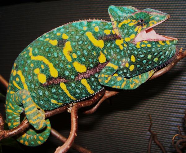 004
she's getting a big girly!