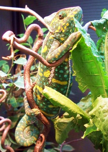 004
Turn the light off, am ready for bed!