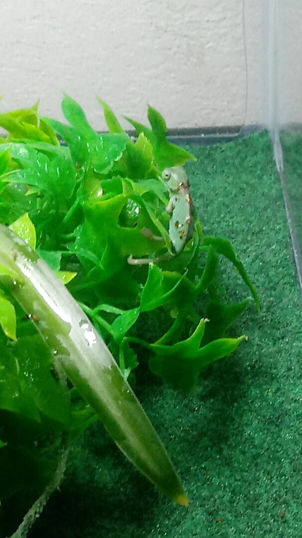 0323200805b.jpg