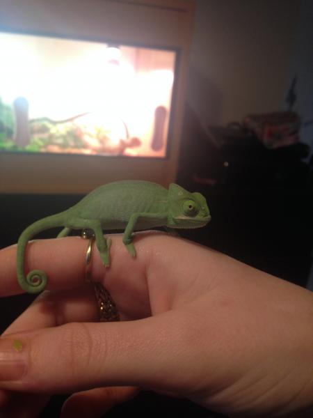 06/04/14 - The moment I fell in love and knew she'd be coming home with me.