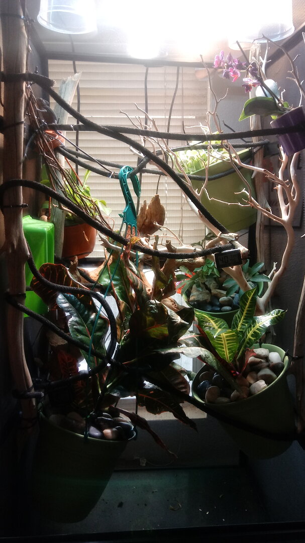 0612200839b.jpg