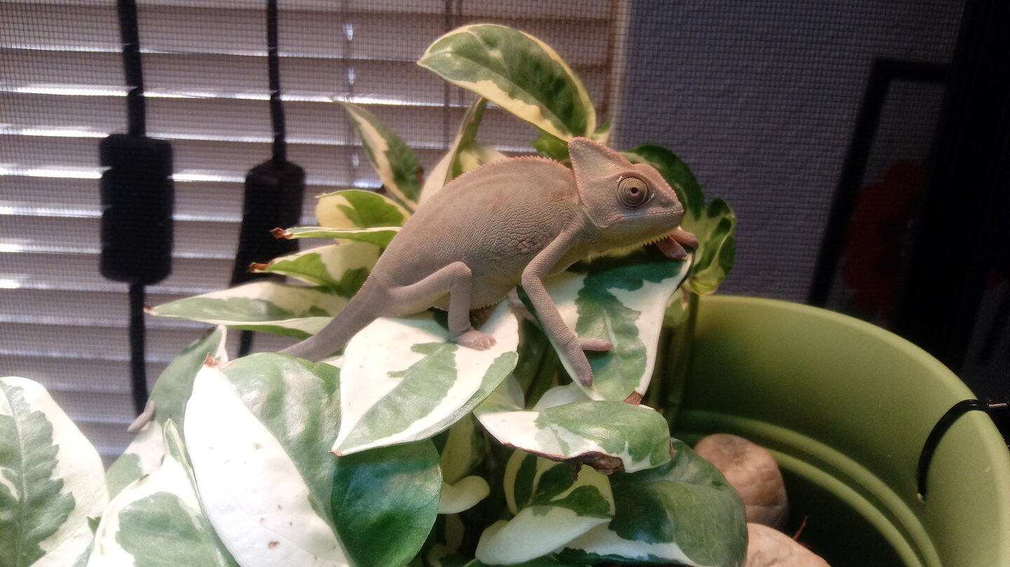 0620201320a.jpg