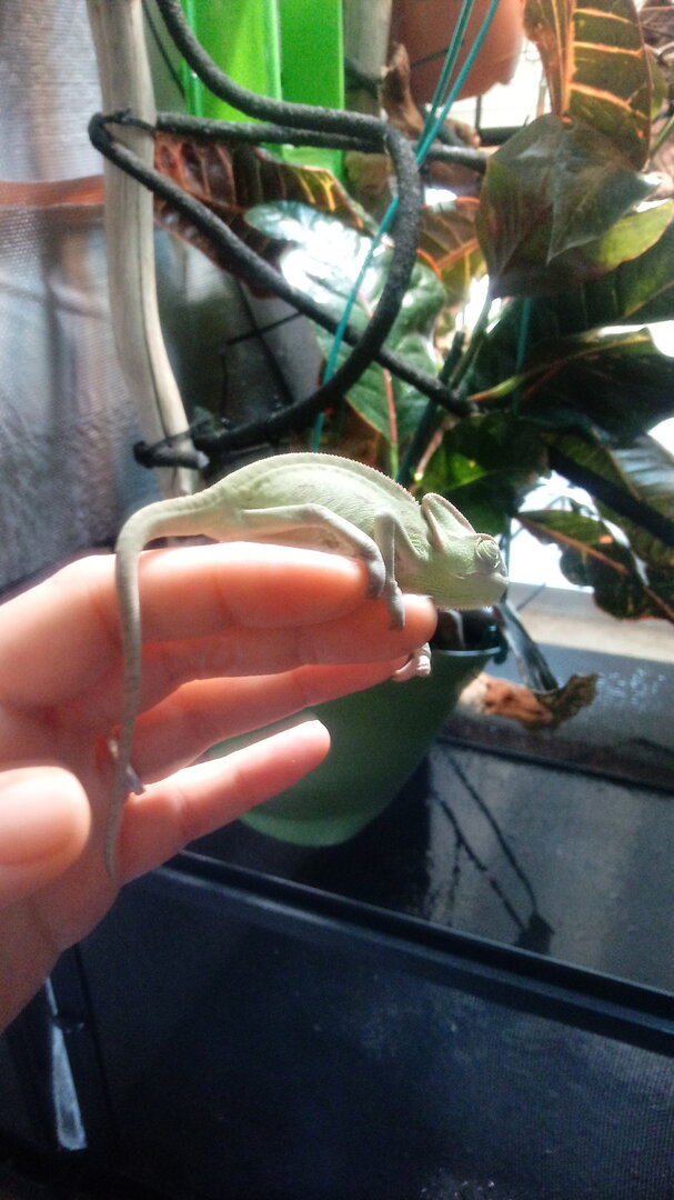 0620201532c.jpg