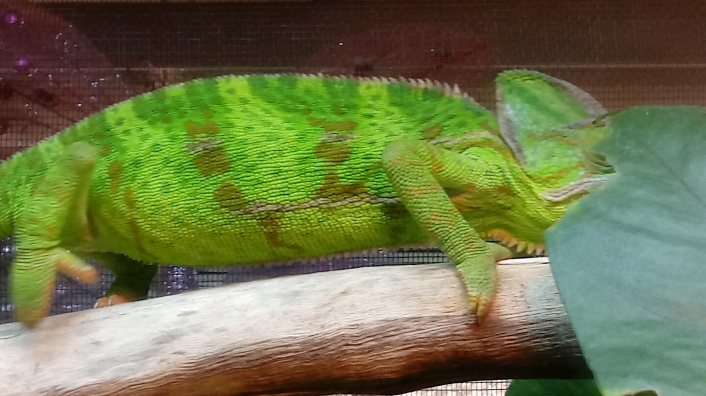 0915191516b.jpg