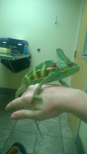 10 months old and a vet visit!