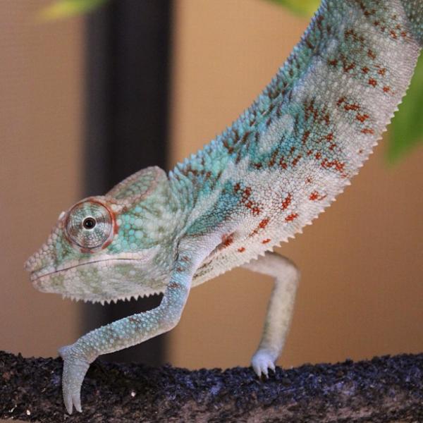 10d959d0cfba11e2a9ed22000a1fb773 7