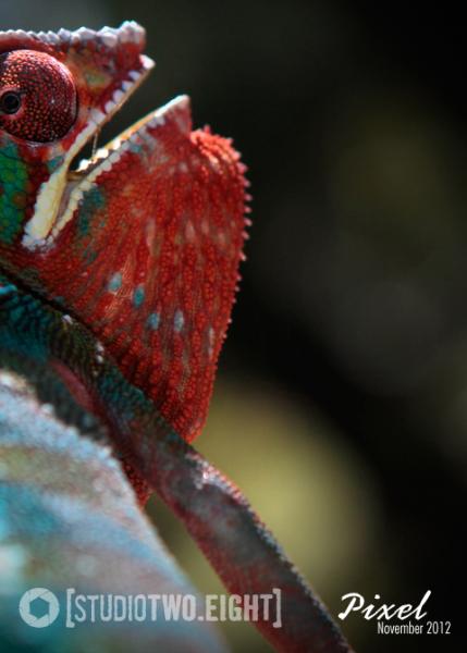 11.2012 - Pixel Hatin'