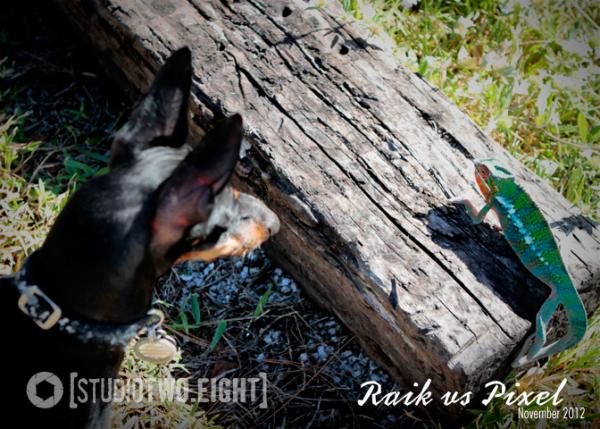 11.2012 Pixel & Raik