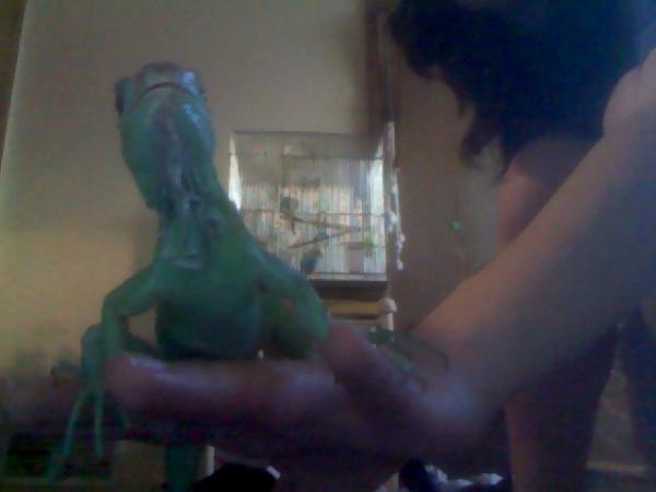 120413 183933
GRAR NO MOAR  PHOTOS!!!