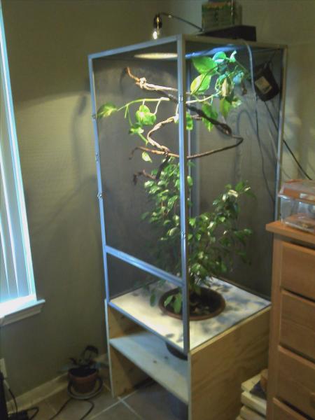 screened chameleon enclosure