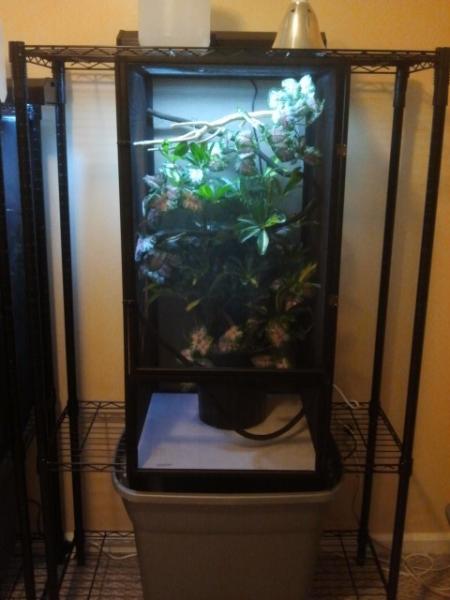 Drainage Systems For Cages Get Creative Chameleon Forums - Diy Chameleon Cage Drainage System