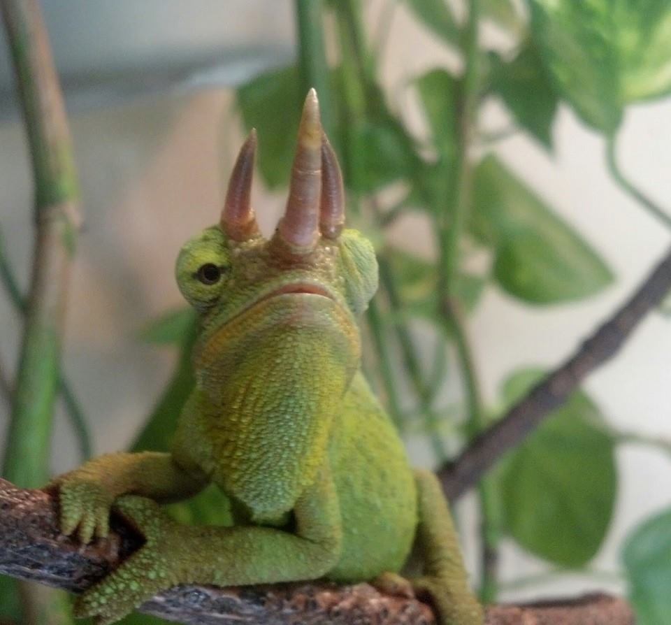 1382386 573591522696388 1569580207 N 1