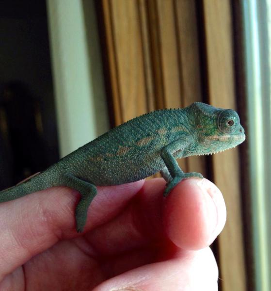 1926718 10151940797542051 886102979 n