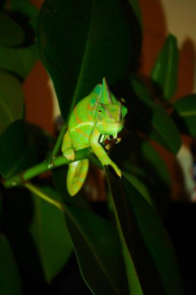 197592 10151050518452391 1178515147 n