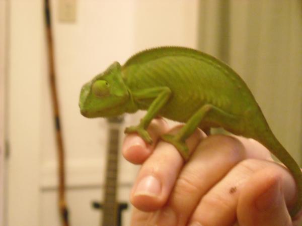 1st time from the store... things got better though no worries