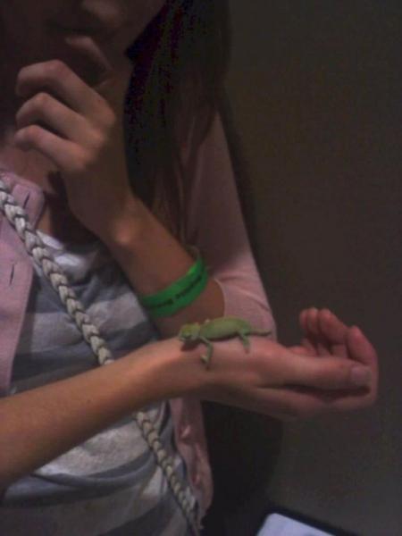 2 weeks old and the day I bought him!  Oh, it was love.