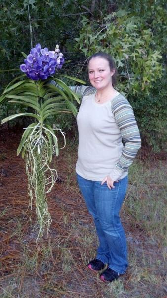 2010 valentine present from my boyfriend... Vanda Robert's Delight 'tor blue'