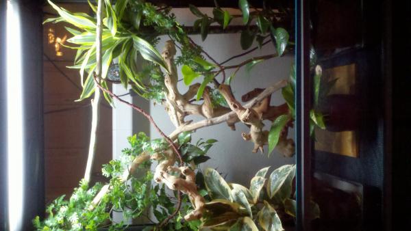 2011 03 02 17 41 38 289