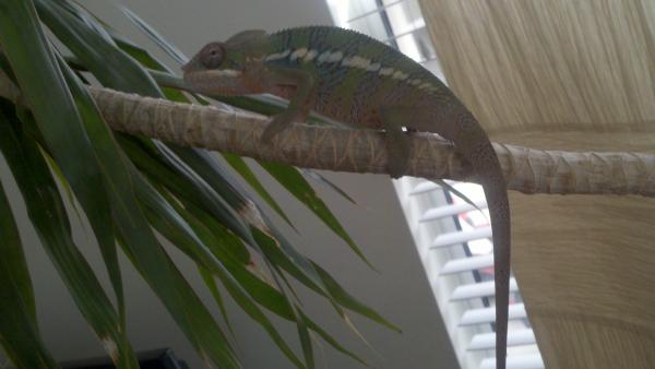 2011 03 11 14 56 32 301