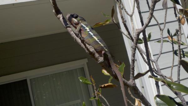 2011 03 27 12 55 51 992