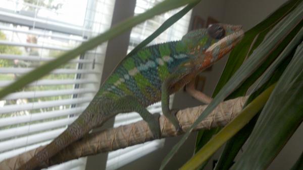 2011 04 03 16 04 35 609