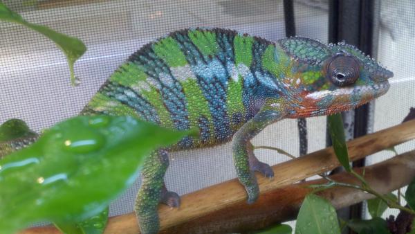 2011 04 13 17 19 58 676