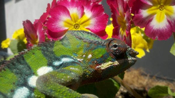 2011 06 20 14 40 56 97