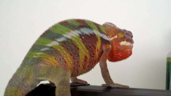 2011 06 20 15 38 19 111