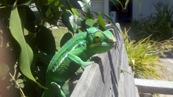 2011 07 16 13 39 44 203