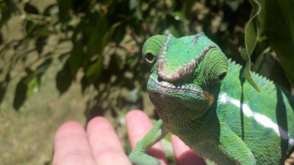 2011 07 16 13 43 50 372