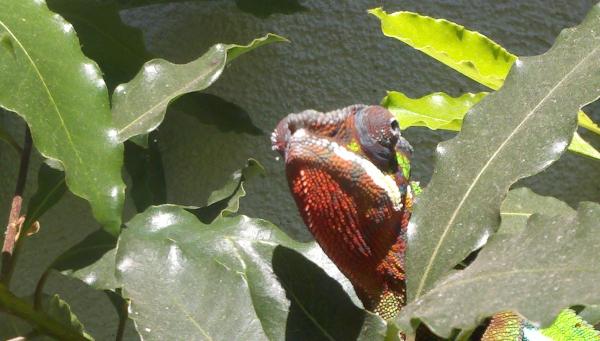 2011 08 21 14 26 54 497