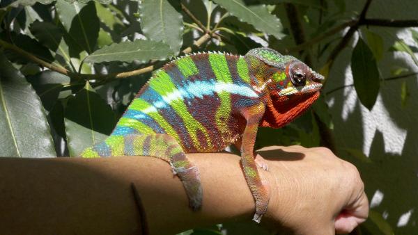 2011 08 21 14 43 23 887