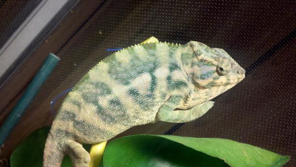 2011 10 18 12 36 28 221