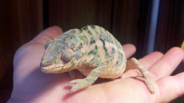 2011 10 18 12 37 48 873