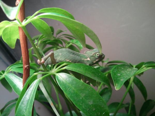 2012 02 11 19.52.22