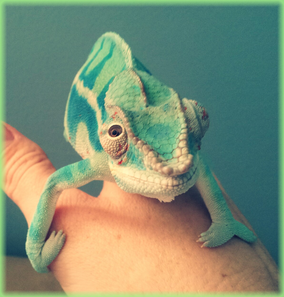 2012-04-07 16.49.34-picsay