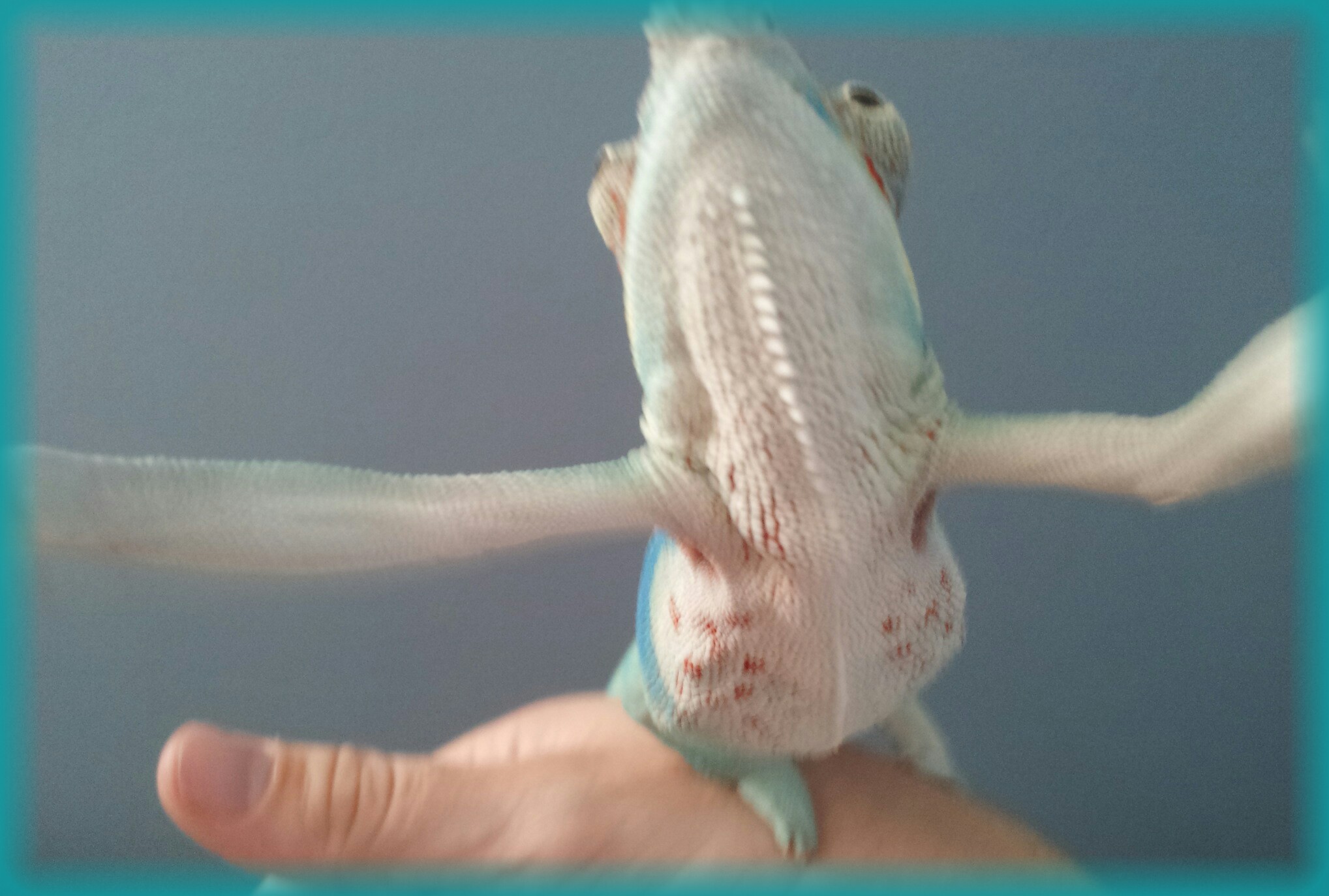 2012-04-07 16.53.02-picsay