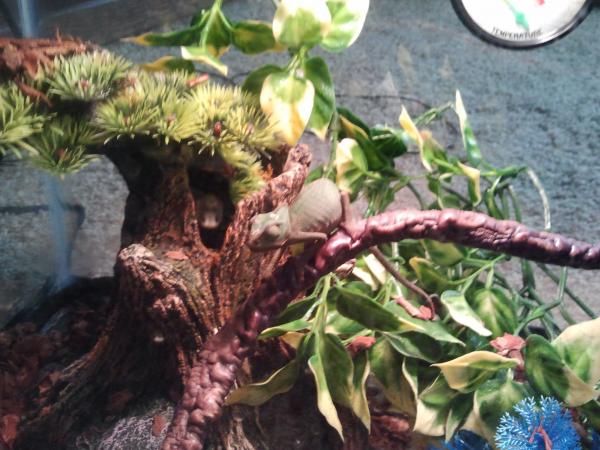 2012 04 the day i rescued her 4/4/12