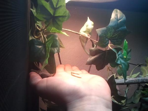 2012 05 19 16.17.40[0]