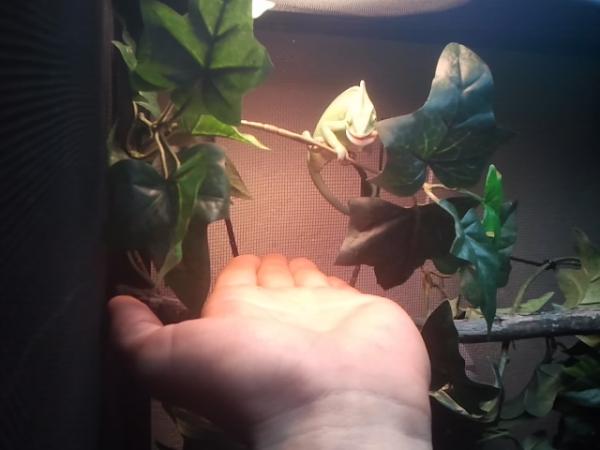 2012 05 19 16.18.18[0]