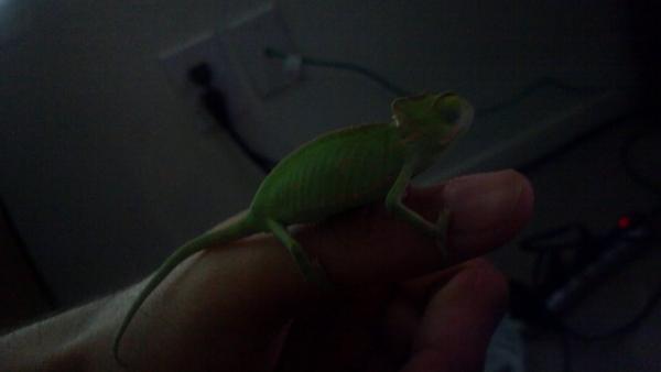 2012 06 10 18 46 43 752