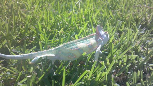 2012 08 05 10 41 28 157