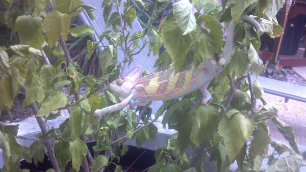 2012 08 15 13 27 57 642