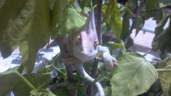 2012 08 15 13 32 50 339